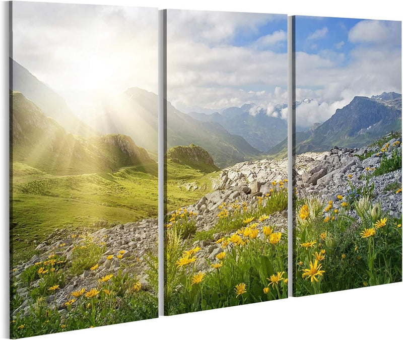 Bild Bilder auf Leinwand Berge Landschaft in Vorarlberg Österreich Wandbild, Poster, Leinwandbild MV