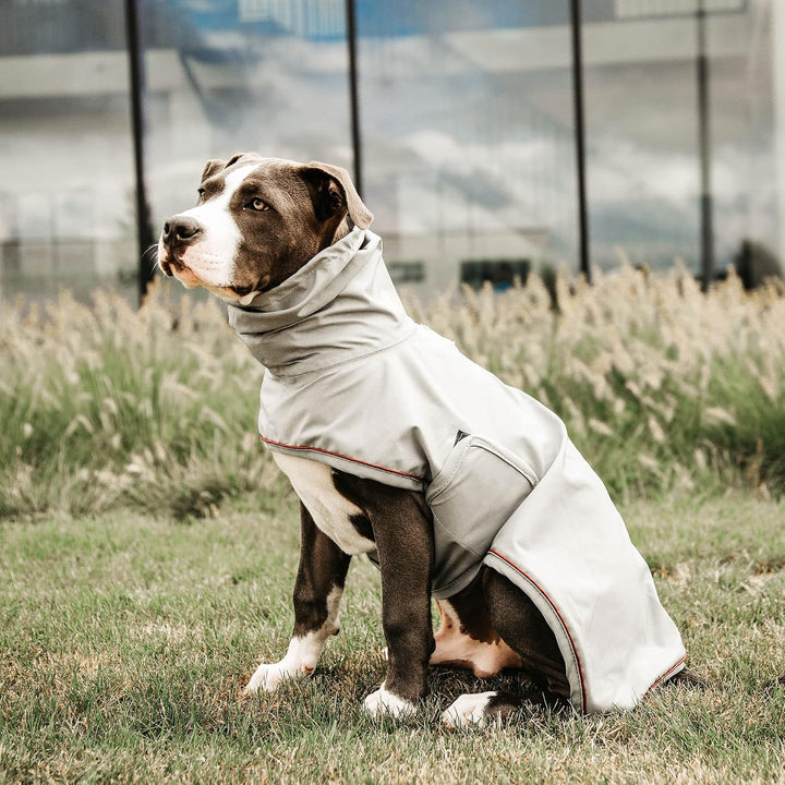 Kentucky Hunde Regenjacke Farbe Reitbekleidung Dusty Blue, Grösse S S dusty blue, S dusty blue
