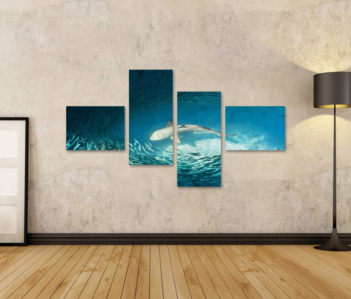 islandburner Bild auf Leinwand Hai Kleine Fische Ozean Natur Hintergrund Bilder Wandbilder Poster Le