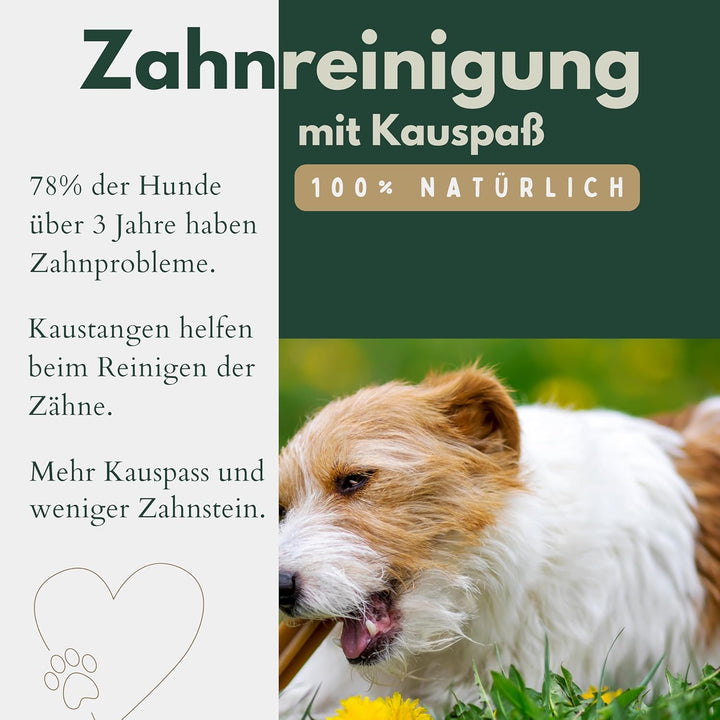 BREERs Getrocknete Rinderohren mit Muschel für Hunde 10 Kg aus eigener Deutscher Herstellung, Kauart