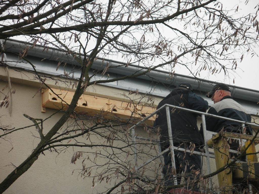 Nistkasten - Doppelter Einbau-Mauerseglerkasten MKW - Stabiler nisthaus für Wildvögel und Gartenvöge