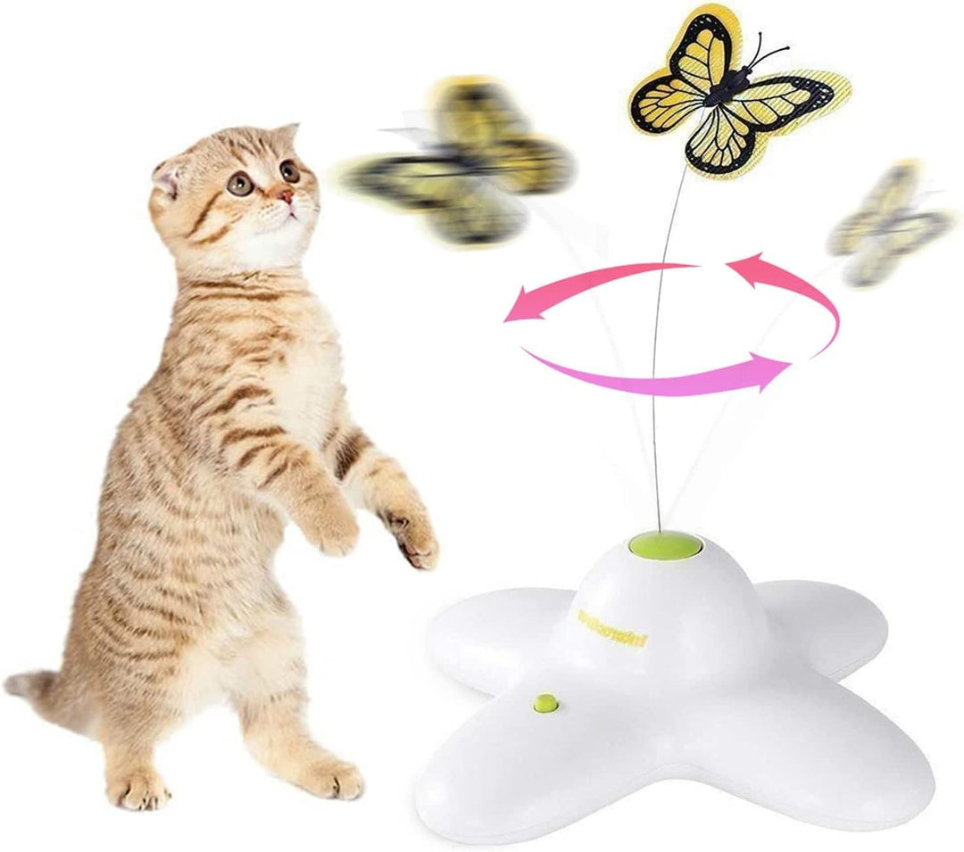 ALL FOR PAWS Interaktives Katzenspielzeug für den Innenbereich, mit 360 ° drehbarem Schmetterling, S