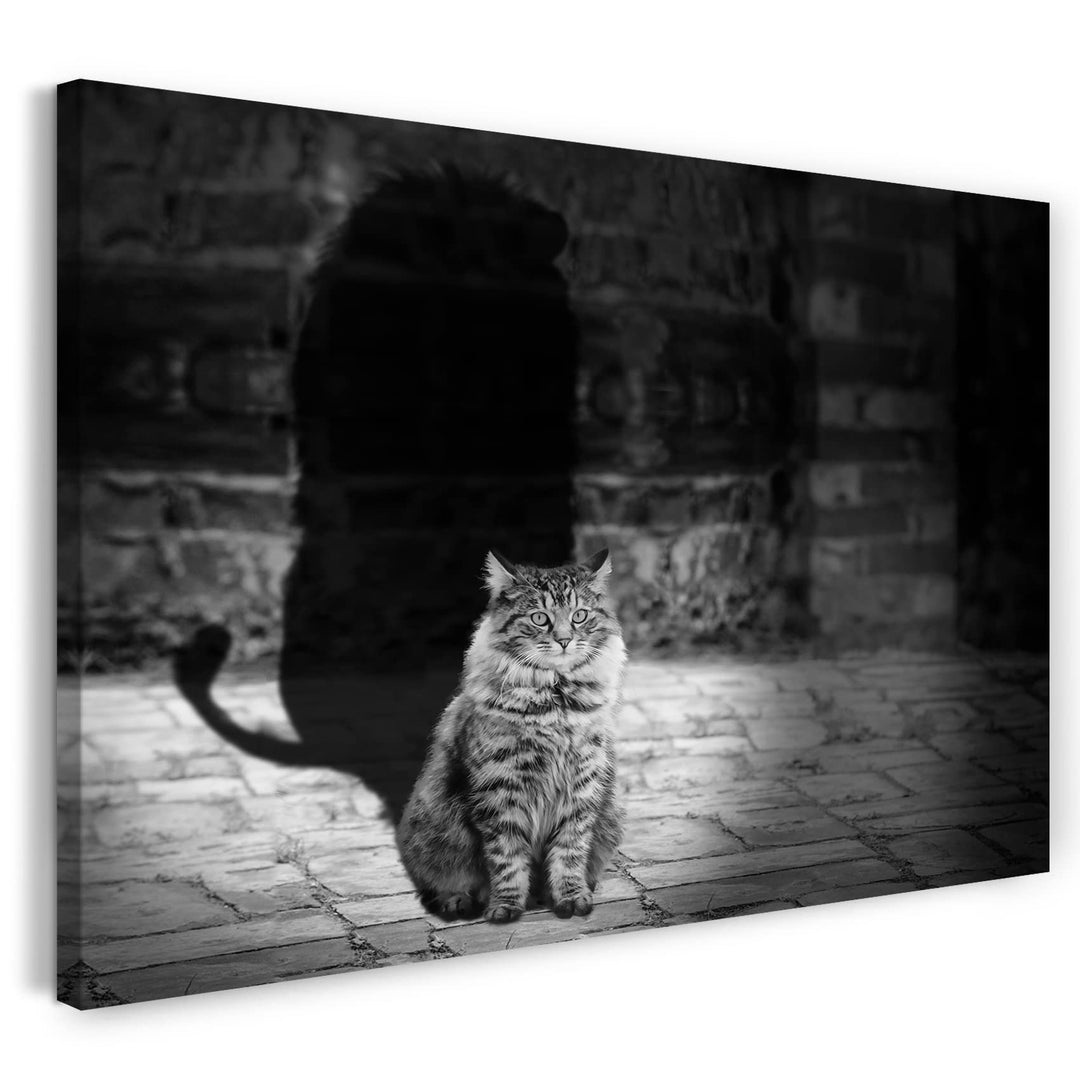 Printed Paintings Leinwand (80x60cm): Katze getigert mit Schatten Katzenbilder 80x60 cm, 80x60 cm