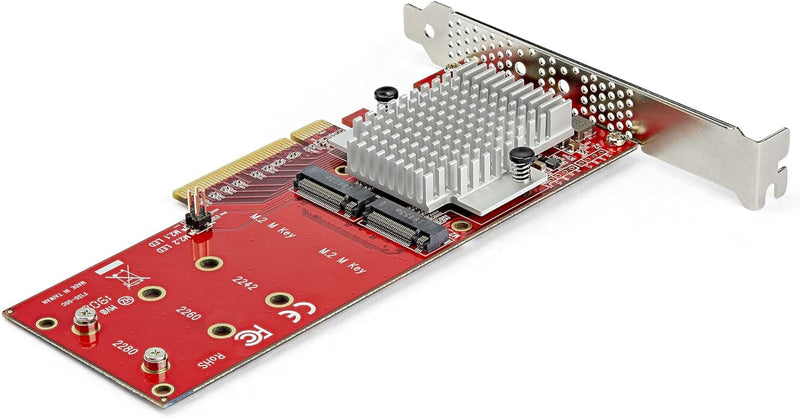 StarTech.com Dual M.2 PCIe SSD Adapter Karte - x8 / x16 Dual NVMe oder AHCI M.2 SSD zu PCI Express 3