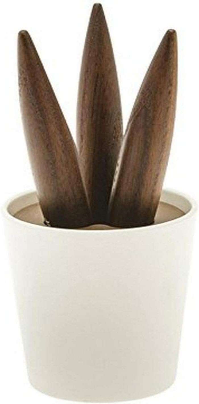 Legnoart Cereus Untersetzer, beige
