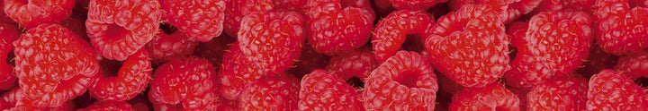 DIMEX Küchenrückwand Folie selbstklebend HIMBEEREN | Klebefolie - Dekofolie - Spritzschutz für Küche