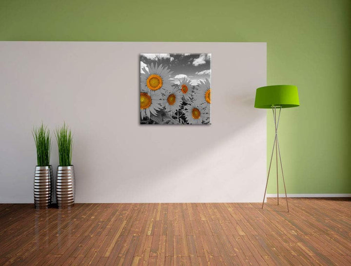Pixxprint Tolles Sonnenblumenfeld als Leinwandbild Quadratisch/Grösse: 70x70 / Wandbild/Kunstdruck/f