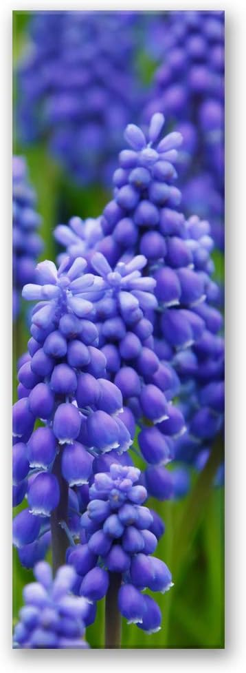 Feeby Wandbild Blumen Druckbild Leinwandbild abstrakt Violett 40x120 cm Leinwandbild 40x120 cm Viole