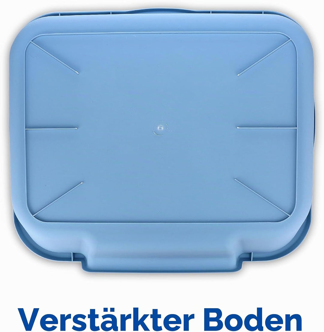 Kitty Go Here Katzentoilette Senior, 61 x 50,8 x 12,7 cm, Blau, Blau Large (1 Pack)