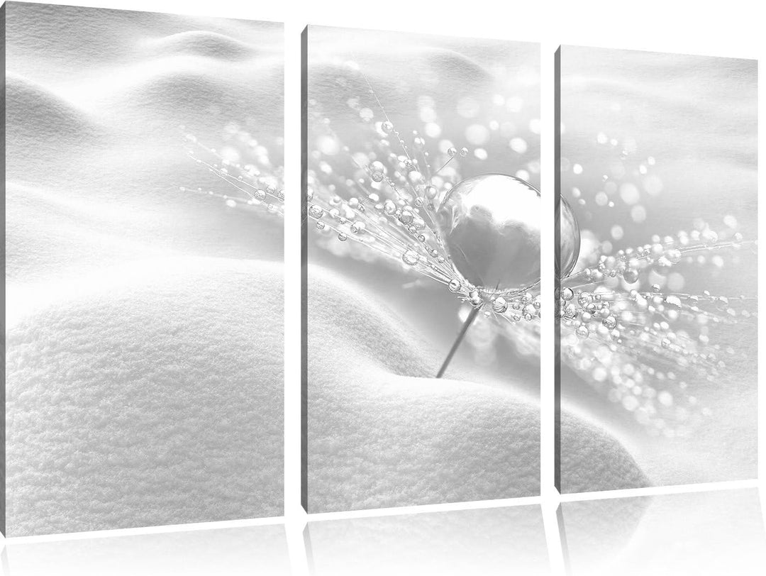 Pixxprint Tautropfen auf Einer Pusteblume im Schnee Kunst B&W 3-Teiler Leinwandbild 120x80 Bild auf