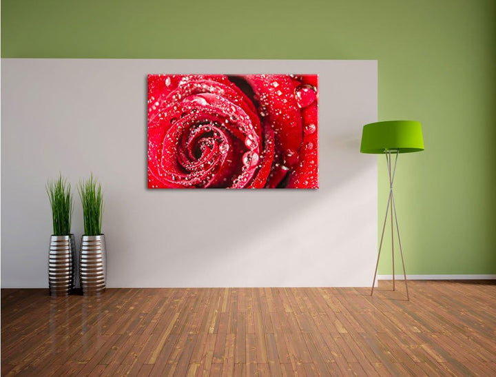 Pixxprint Rose mit Wassertropfen als Leinwandbild/Grösse: 100x70 cm/Wandbild/Kunstdruck/fertig bespa