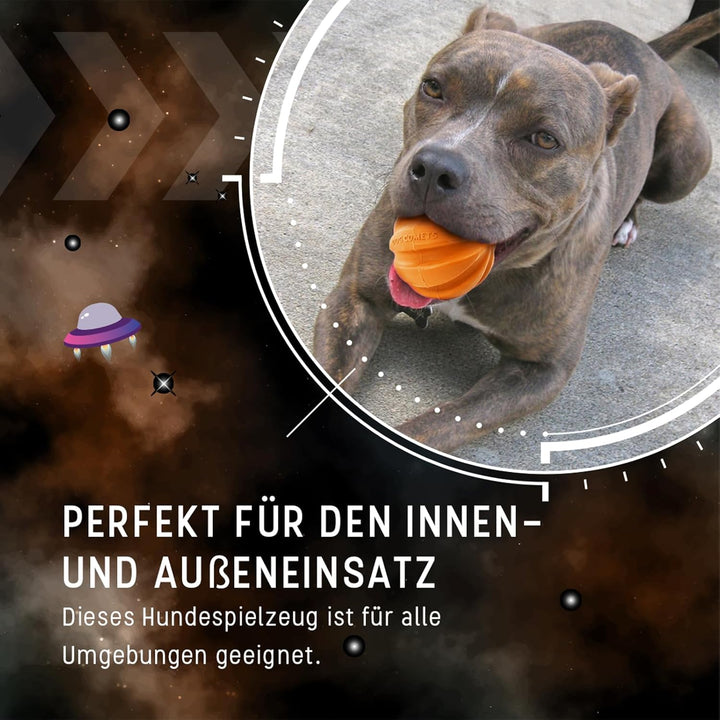Perro Cometas Swift Tuttle Met Touw Oranje Orange, Orange