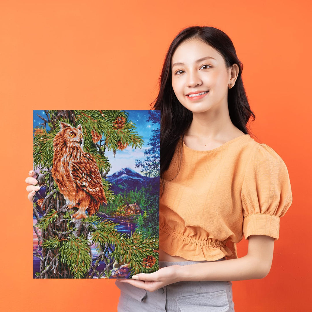Diamond Dotz DD12-025 Eule, ca. 47 x 59 cm gross, Diamond Painting, Malen mit Diamanten, funkelndes