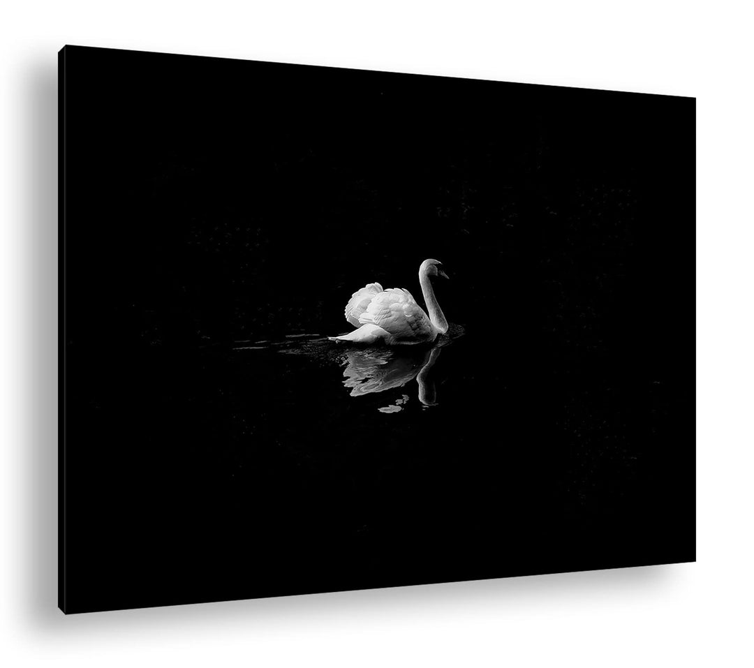 deyoli Dark einsamer Schwan Format:75x50 cm als Leinwandbild, Motiv fertig gerahmt auf Echtholzrahme