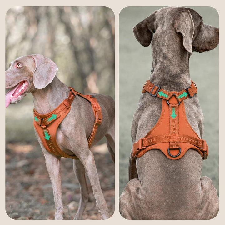 Hundegeschirr mit weicher Lycra-Polsterung, atmungsaktiver Komfortweste aus Mesh, Verstellbarer Grös