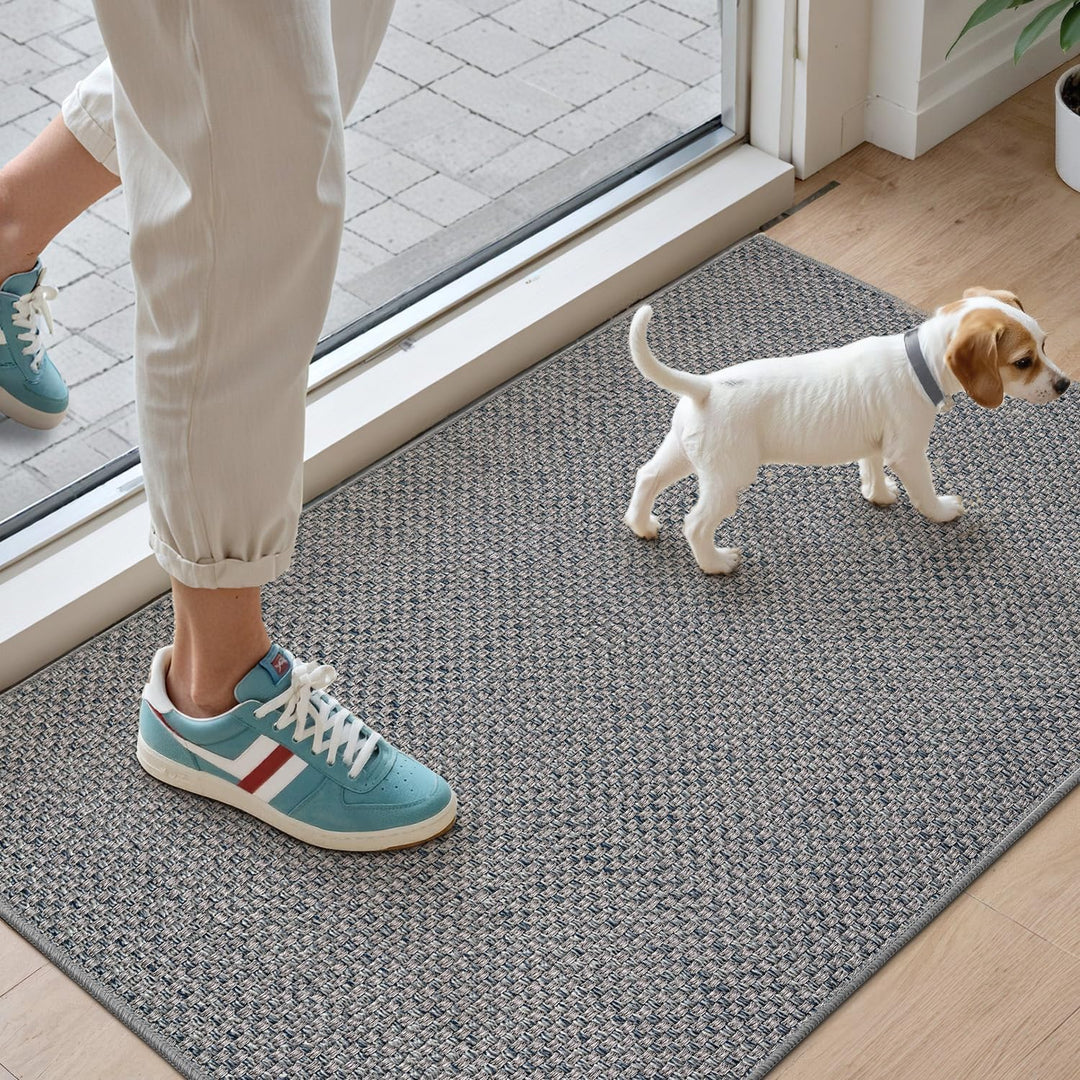 DEXI Schmutzfangmatte Innen 61 x 92 cm, rutschfest Fussmatte waschbar, absorbierend Fussmatte, Dünne