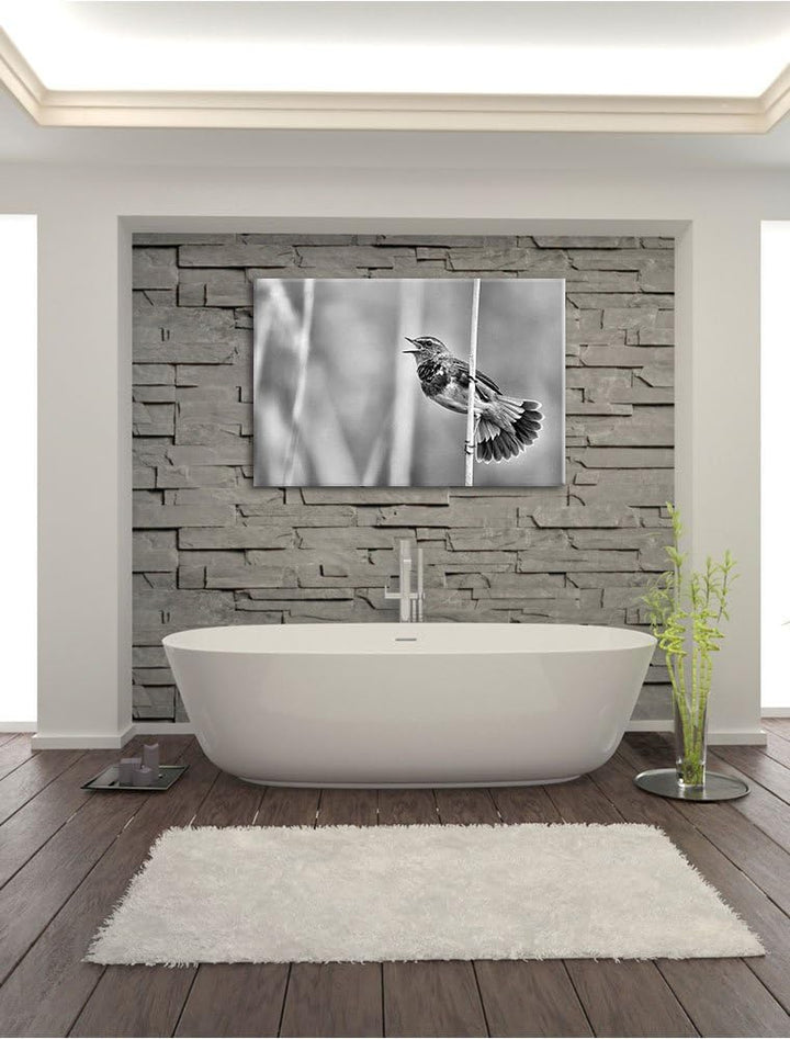 Pixxprint schönes kleines Blaukehlchen als Leinwandbild/Grösse: 100x70 / Wandbild/Kunstdruck/fertig