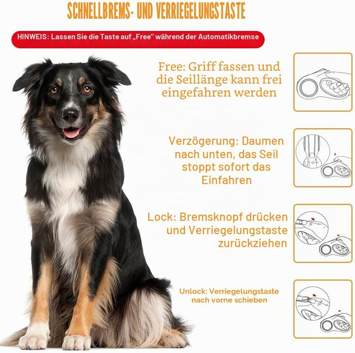 Einziehbare Hundeleine Mit Licht - 3m/5m Ausziehbare Leine für Kleine, Mittelgrosse und Grosse Hunde