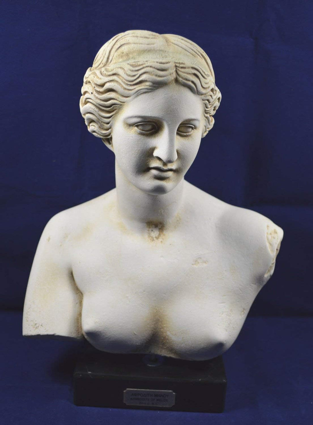 Aphrodite Skulptur Büste Venus Göttin der Liebe Grosse Statue Artefakt