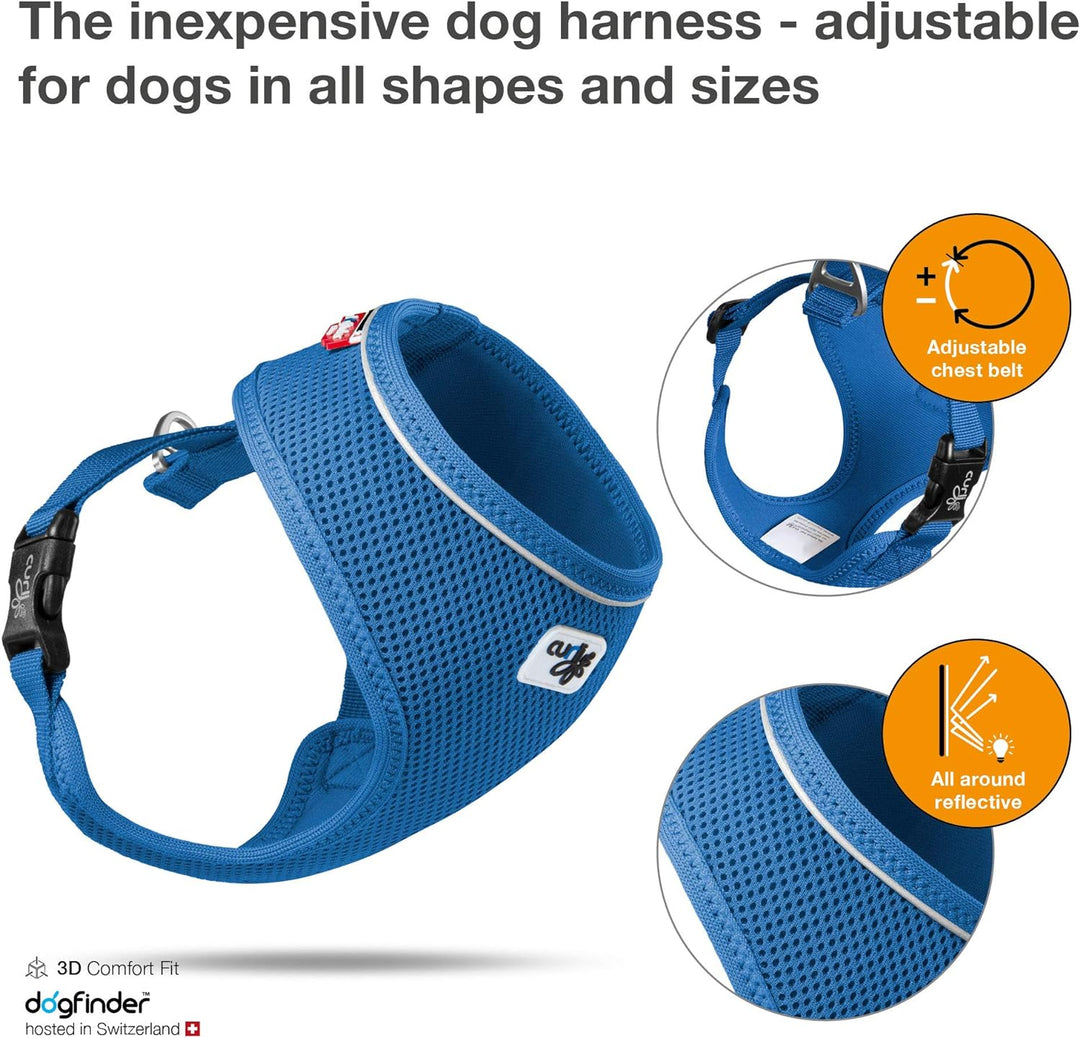Basic Harness Air-Mesh Blue XL XL Blau, XL Blau