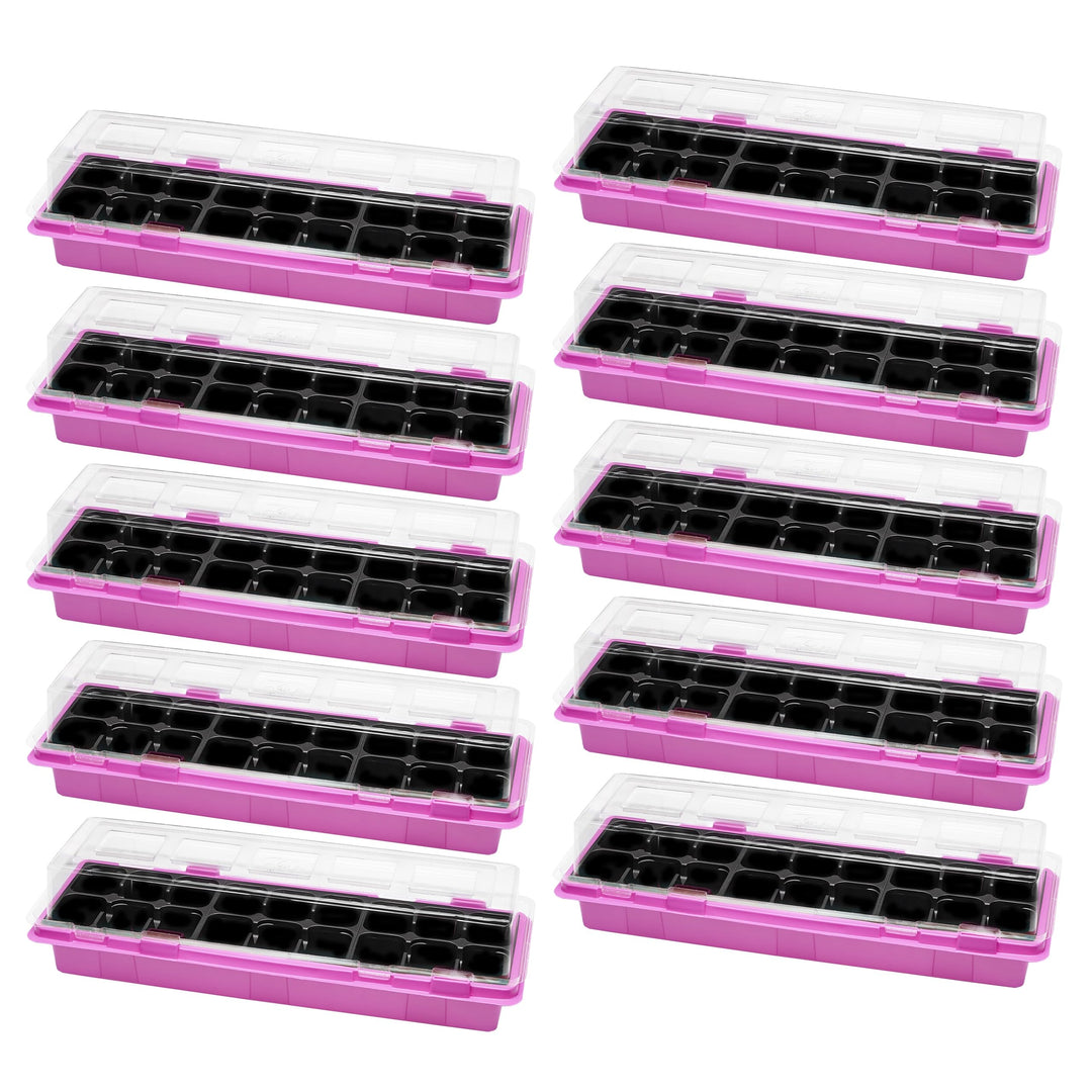 Mini Gewächshaus Anzuchtkasten Pflanzen im Innenbereich Anzuchttöpfe GD-0043 (47x16 cm; Rosa, 10 Stü