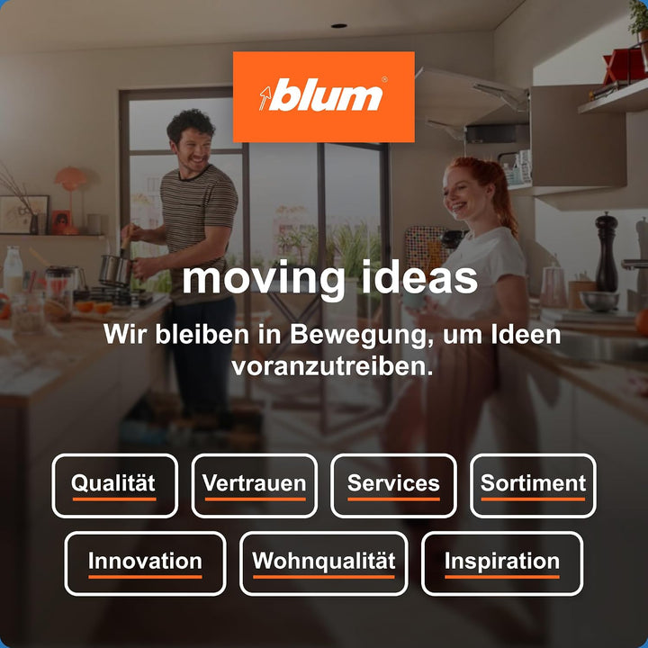 Blum Ambia-Line Frontauszugsrahmen 371x218x110mm, KS Stahl carbonschwarz matt