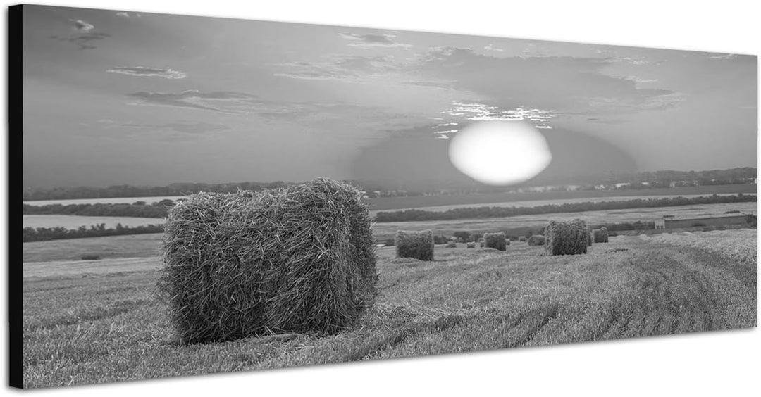 Paul Sinus Art Leinwandfoto als Panorama SCHWARZ/Weiss 120x40cm Feld Strohballen Herbst Sonnenunterg