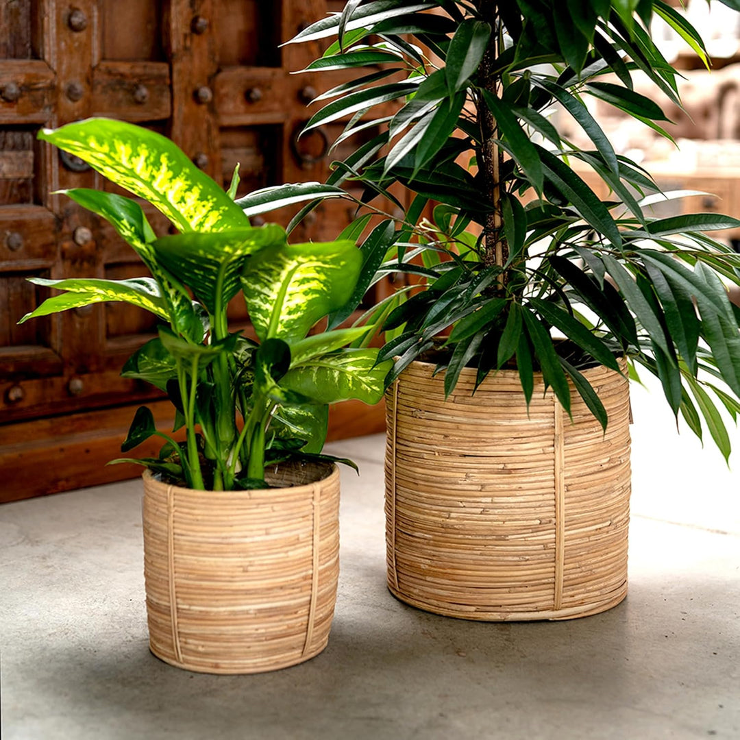 DARO DEKO Rattan Korb Topf 3er Set rund Blumentopf geflochten Aufbewahrungskorb Übertopf Blumenkorb,