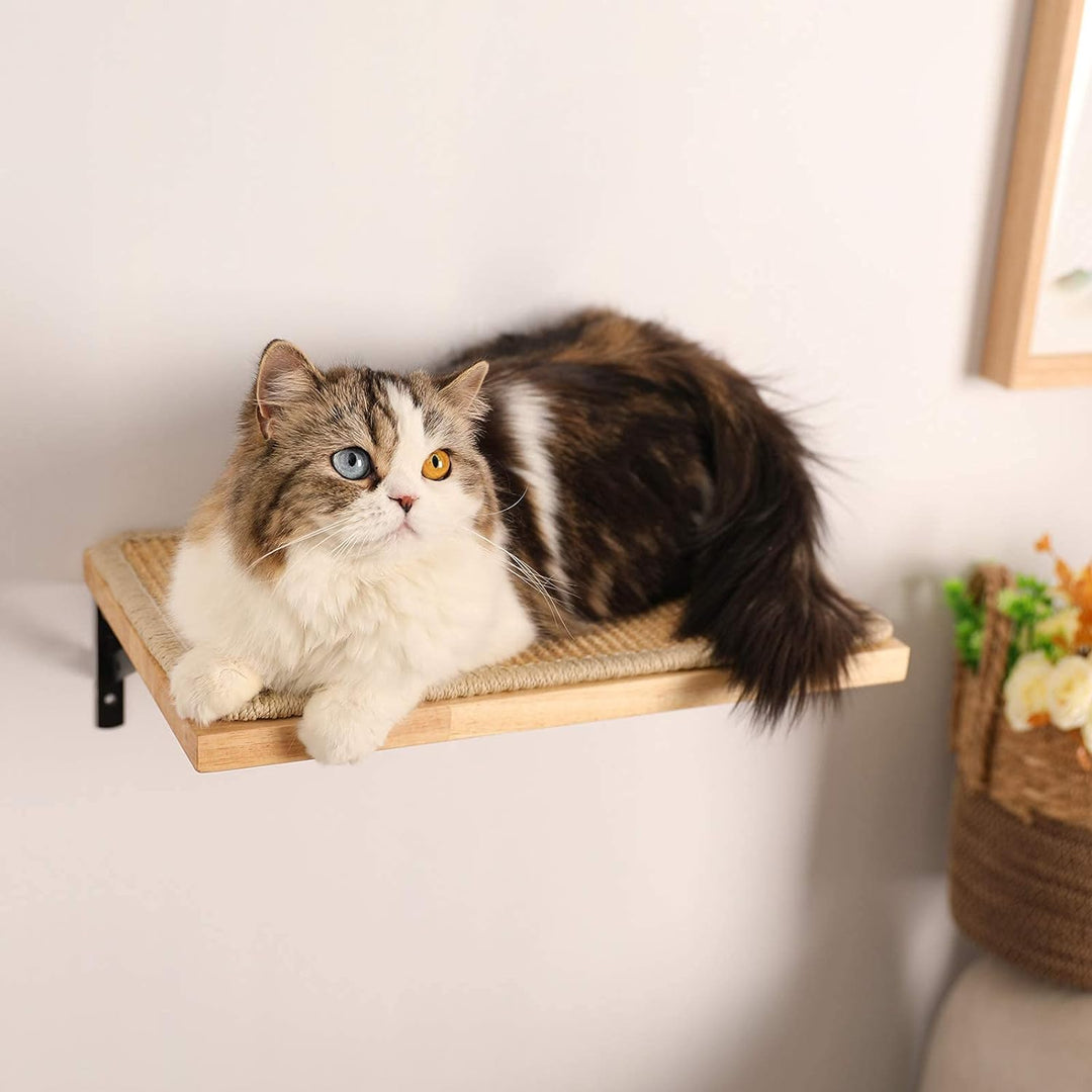 FUKUMARU Kletterwand Katzen, Katzenbett Wand aus 2cm dickem massivem Gummiholz mit widerstandsfähige