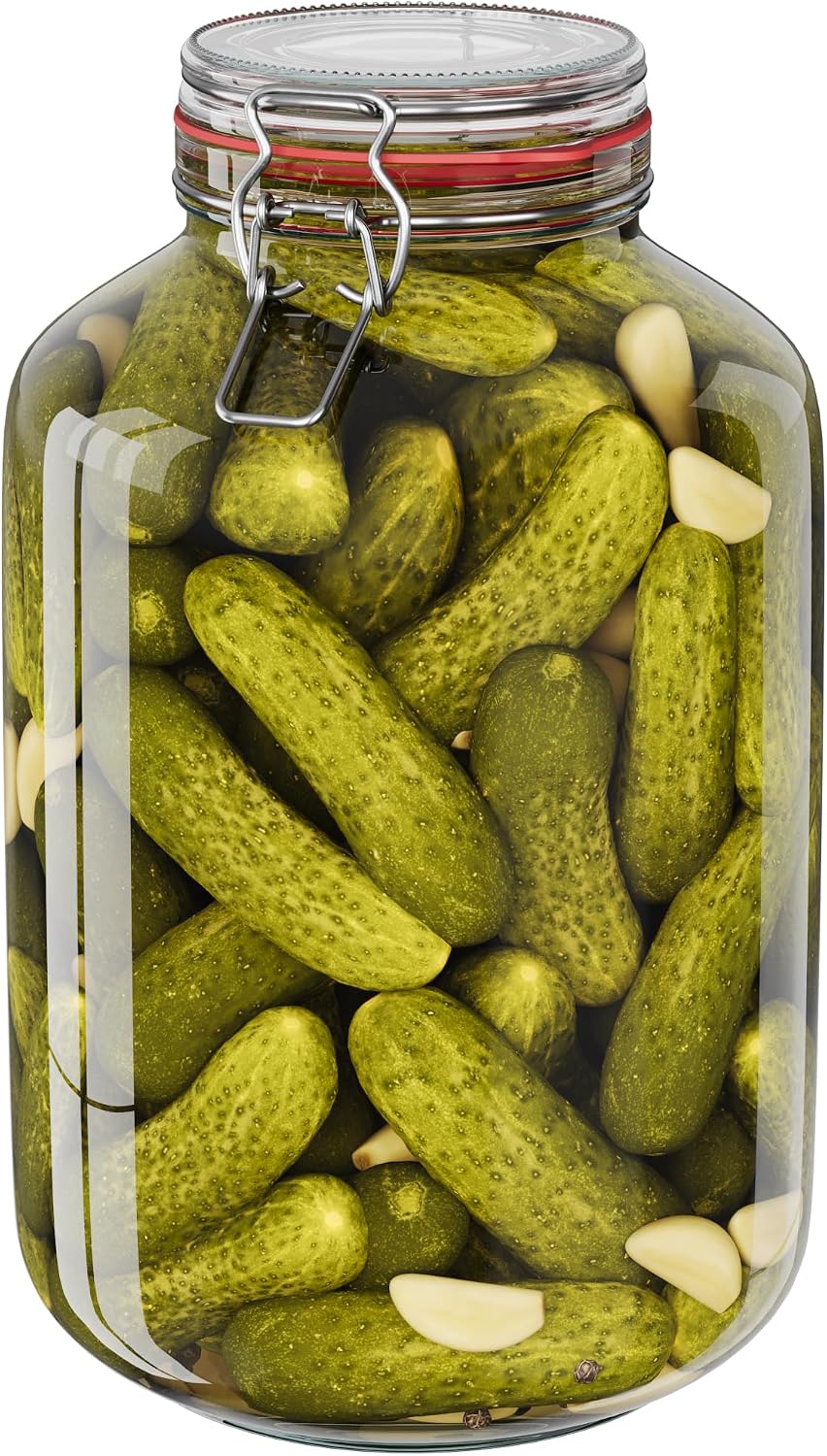 WELLGRO 2x Einmachgläser mit Bügelverschluss rund 4880ml, Fermentierglas, Vorratsgläser mit Deckel -