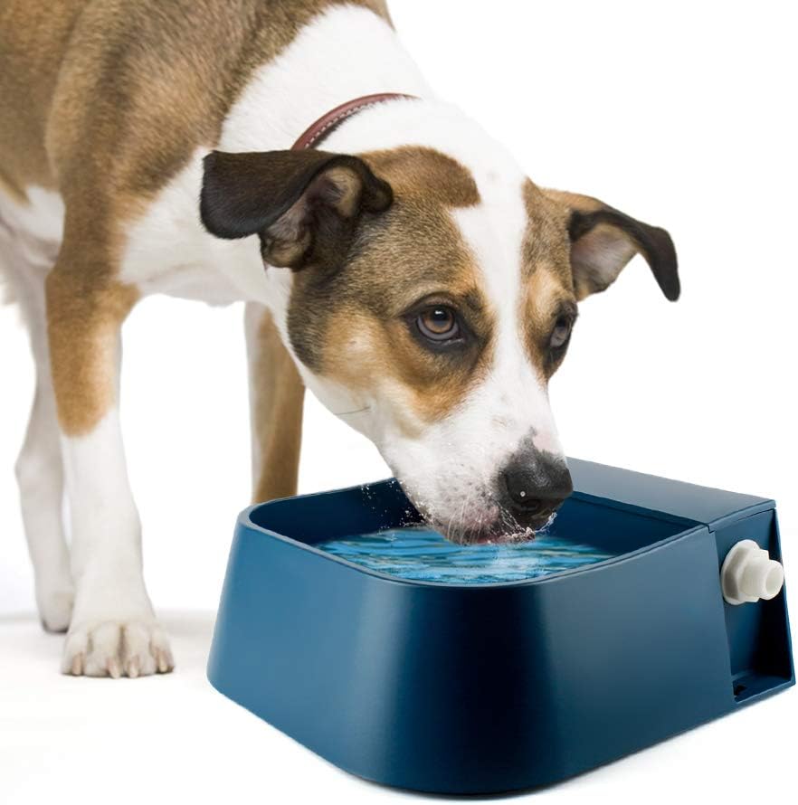 Namsan Schwimmer Tränkebecken für Haustiere Automatisch Hundetränke Schwimmertränke mit Schwimmerven