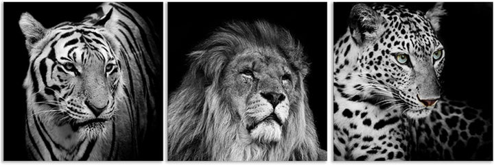Feeby Bilder 3 Teile Löwe Tiger Elefant 210x70 cm Wohnzimmer Schlafzimmer Büro Flur Küche Wandbilder