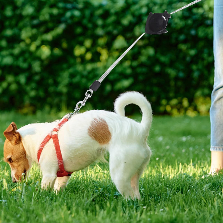 Alipis Automatische Einziehbare Hundeleine Teleskop-Zugseil Für Hunde Welpen Katzen Ergonomischer Gr