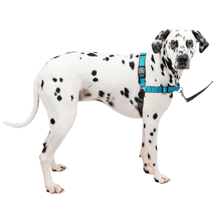 PetSafe Easy Walk Deluxe-Geschirr, reissfestes Gehgeschirr für Hunde, gepolstertes Design, inkl. 1,8