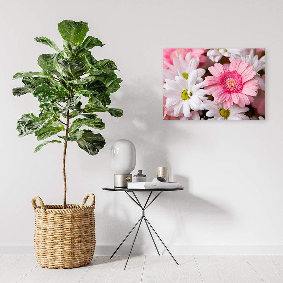 Feeby Bild auf Leinwand Blumen Kunstdruck modern Garten Rosa 80x60 cm Leinwandbild 80x60 cm Rosa_D,