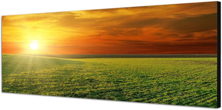 Paul Sinus Art Panoramabild auf Leinwand und Keilrahmen 150x50cm Feld Wiese Frühling Sonnenuntergang