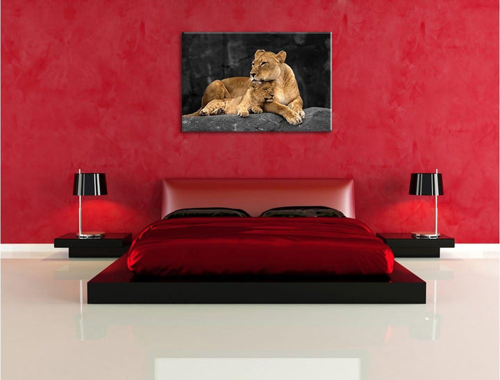 Pixxprint Löwe Löwenjungen als Leinwandbild/Grösse: 120x80 cm/Wandbild/Kunstdruck/fertig bespannt, 1
