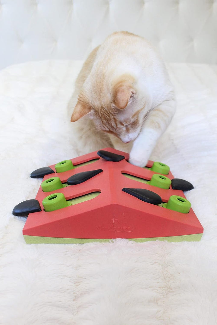 Nina Ottosson von Petstages Melon Madness Puzzle & Play - Leckerli-Denkspiel für Katzen - interaktiv