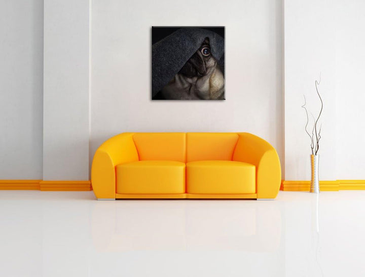 Süsser Lustiger Mobs Decke, Format: 70x70 auf Leinwand, XXL riesige Bilder fertig gerahmt mit Keilra