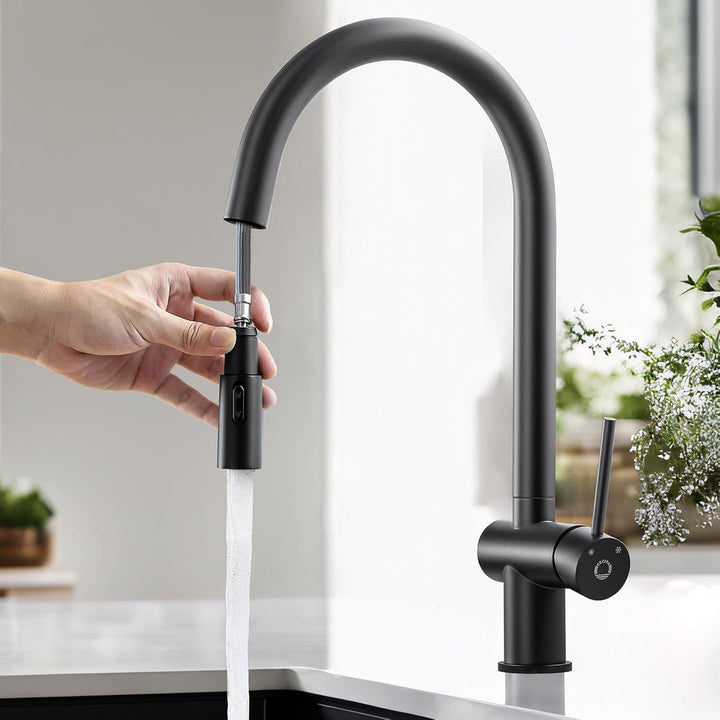 CECIPA Küchenarmatur Schwarz Ausziehbar, Wasserhahn Küche 2 Strahlarten, Spültischarmatur Hochdruck