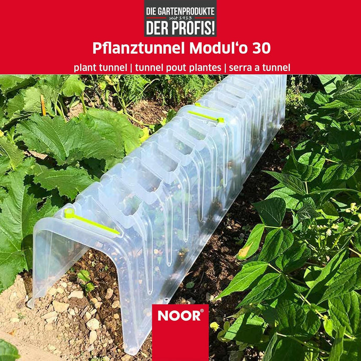 NOOR Pflanztunnel Modul'o 30, 78x29x28 cm I Mini-Gewächshaus zur sicheren Anzucht von allen Pflanzen