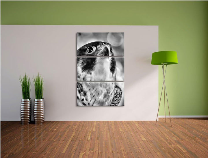 Pixxprint schöner Grauer Adler als Leinwandbild/Grösse: 3 Teilig (120x80) cm/Wandbild/Kunstdruck/fer