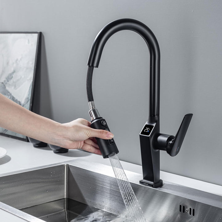 3 Wege Wasserhahn Küche Mit Ausziehbar,Mit LED-Temperaturanzeige,3 in 1 Mischbatterie für Wasserfilt