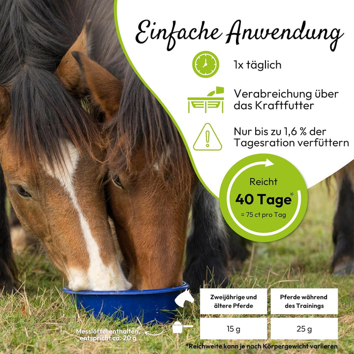 PHA Muskel &amp; Leistung Pferd, Ergänzungsfutter zur Unterstützung von Muskelaufbau und Leistungsfähigk
