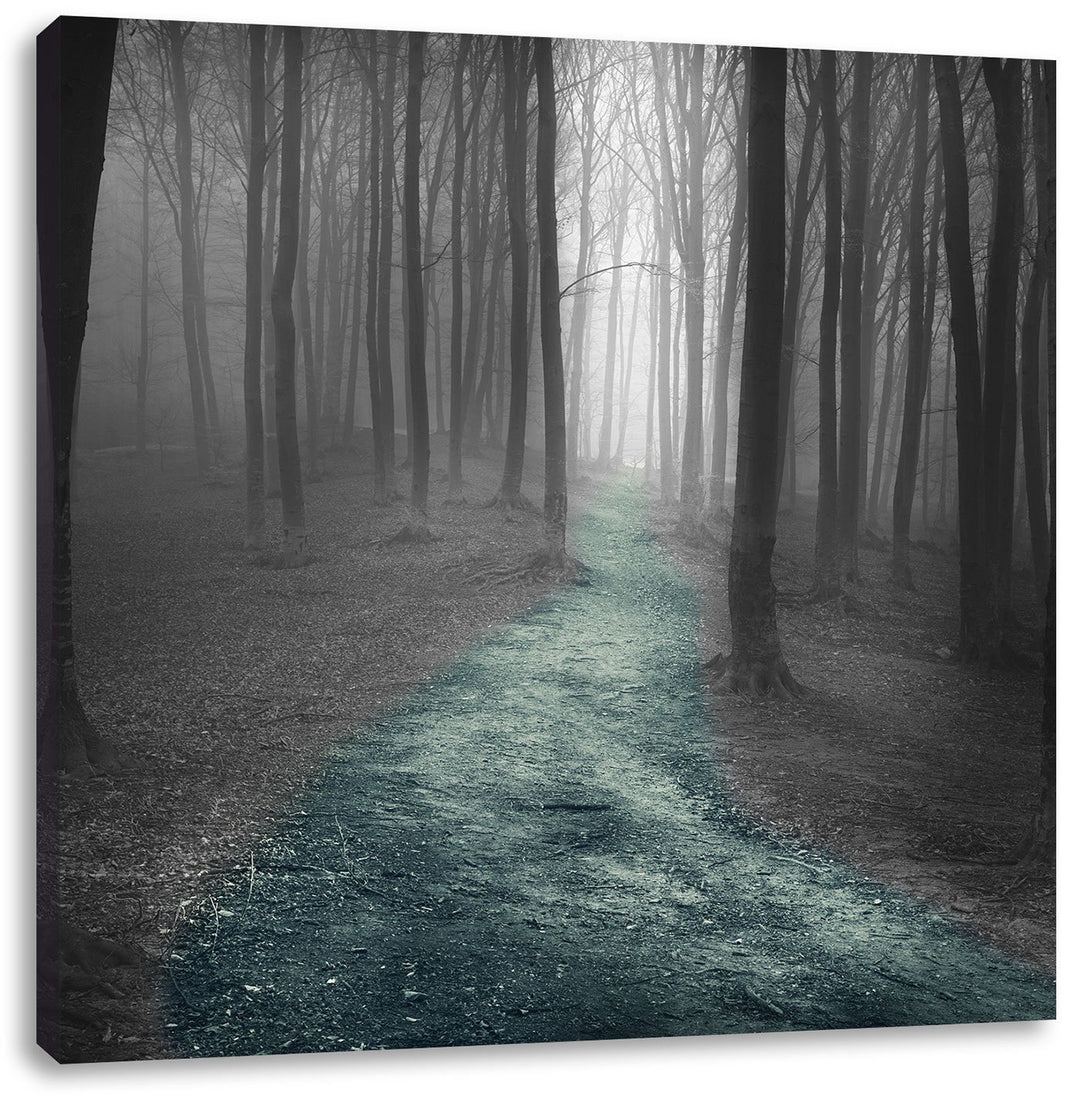 Pixxprint Einsamer Weg im Wald schwarz/weiss, Format: 70x70 auf Leinwand, 70x70