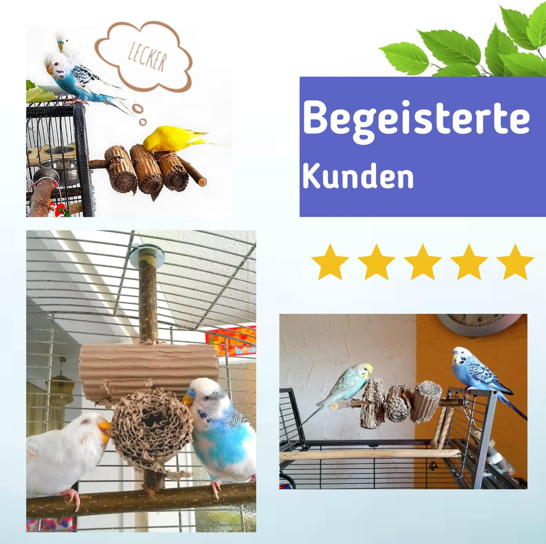 Vogelgaleria® Knabberparadies für Vögel - Ausgiebige Beschäftigung Wird durch diesen Vogelspielplatz