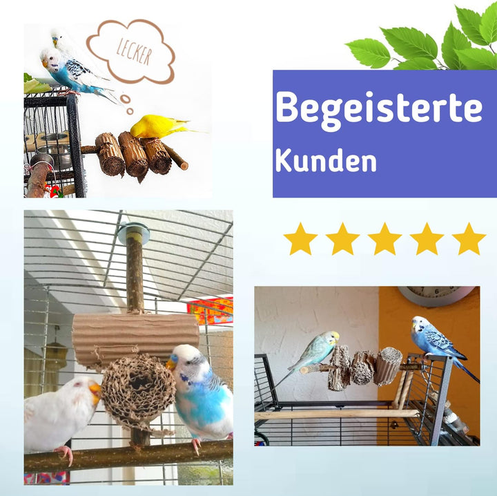 Vogelgaleria® Knabberparadies für Vögel - Ausgiebige Beschäftigung Wird durch diesen Vogelspielplatz