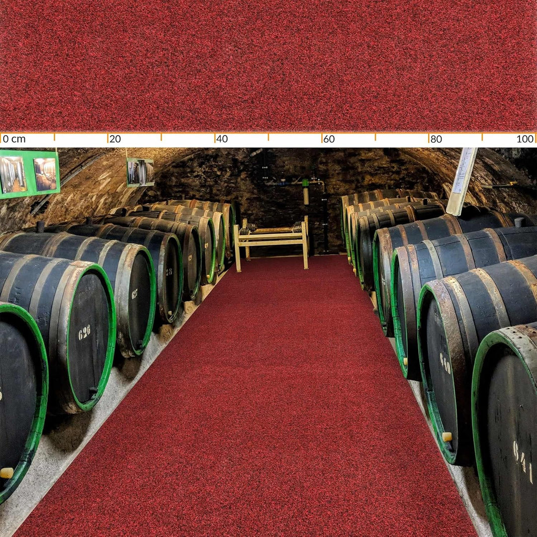 ANRO Fussmatte Schmutzfangmatte Teppich Läufer Sauberlaufmatte rutschfest Indoor Outdoor abwaschbar