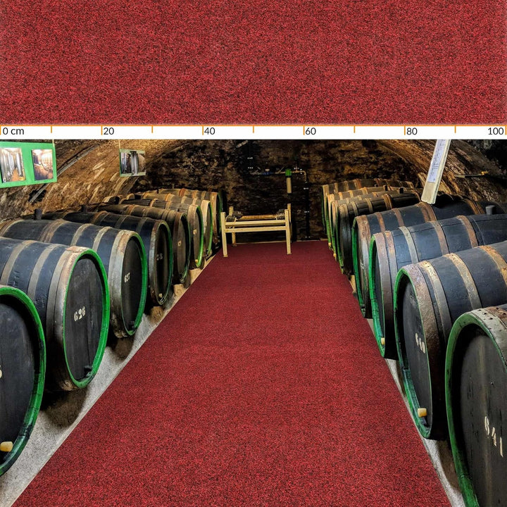 ANRO Fussmatte Schmutzfangmatte Teppich Läufer Sauberlaufmatte rutschfest Indoor Outdoor abwaschbar