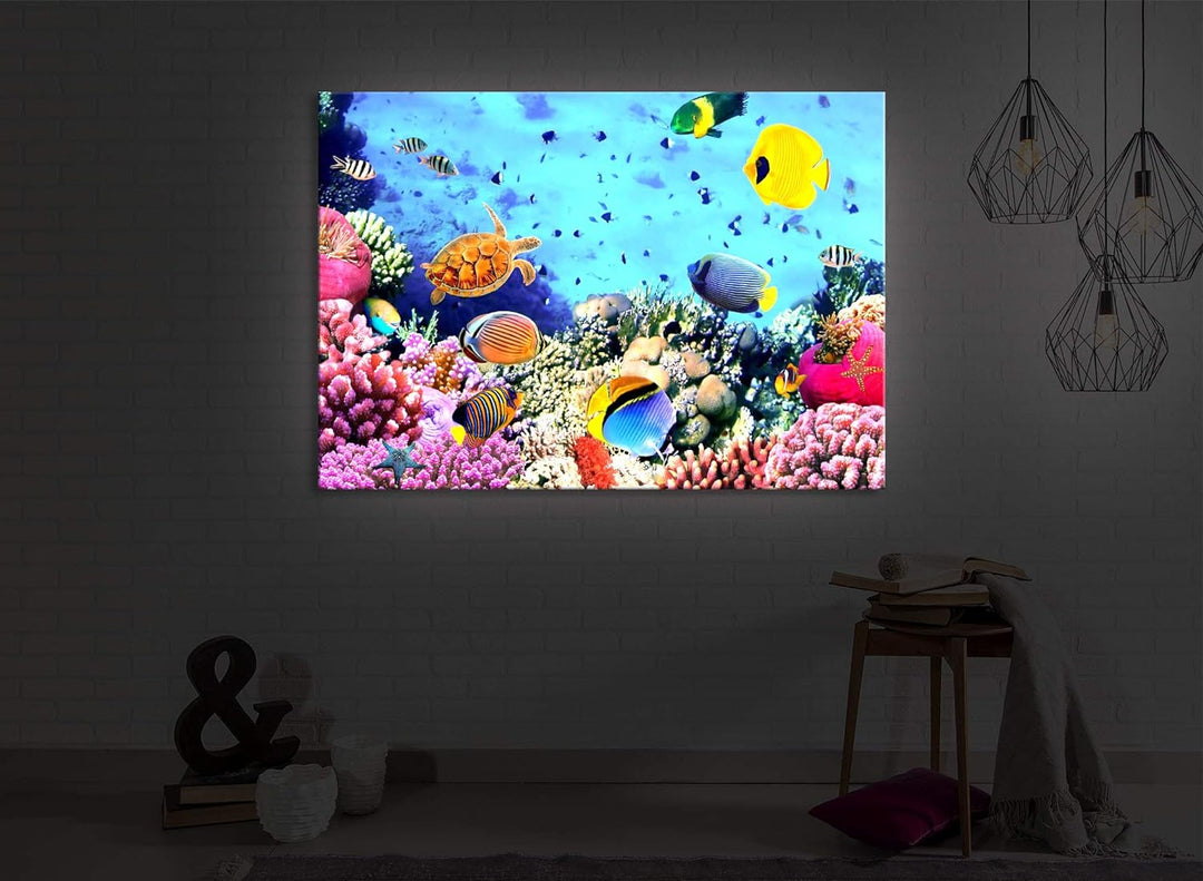 lightbox multicolor | Bilder mit LED Beleuchtung | Bunte Fische über Korallenriff | 100x70 cm | Fron